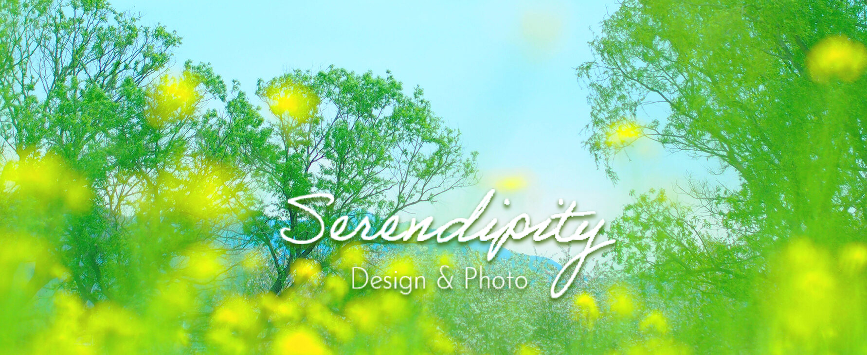 Gallery Serendipity Design&Photo